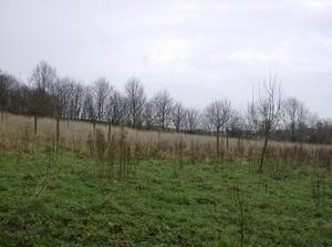 SatJan620071149AM.jpg