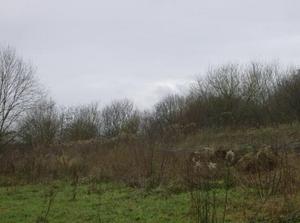 SatJan620071150AM_2.jpg