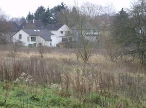 SatJan620071150AM.jpg