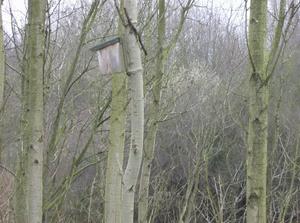 SatJan620071151AM_2.jpg