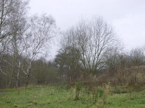 SatJan620071151AM_3.jpg