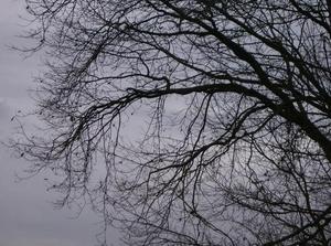 SatJan620071151AM_4.jpg