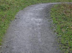SatJan620071151AM.jpg
