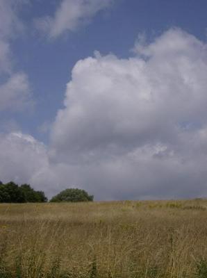 SatJul720070112PM_2.jpg