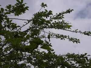 SatJul720070125PM_3.jpg