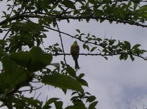 SatJul720070125PM.jpg