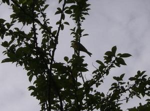 SatJul720070126PM.jpg