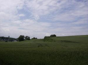 SatJul720071256PM.jpg