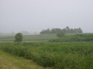 SatJun920070355PM.jpg