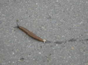 SatJun920070400PM.jpg