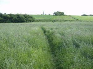 SatMay1920071225AM.jpg
