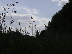 SatMay1920071226AM_2.jpg