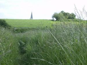 SatMay1920071226AM.jpg