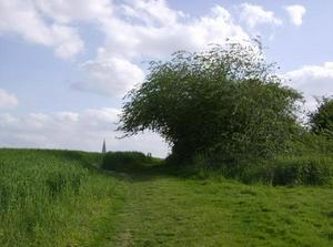 SatMay1920071228AM.jpg