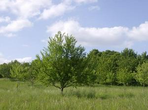 SatMay1920071234AM_2.jpg