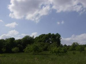 SatMay1920071234AM_3.jpg