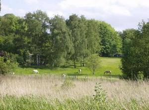 SatMay1920071234AM.jpg