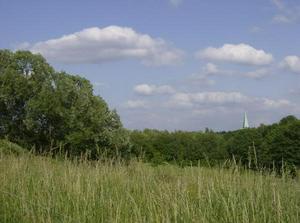 SatMay1920071249AM.jpg