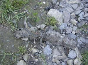 SatMay1920071251AM.jpg