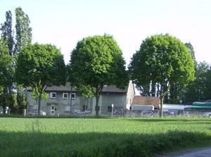 SatMay1920071253AM.jpg