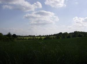 SatMay1920071256AM.jpg