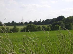 SatMay1920071257AM_2.jpg