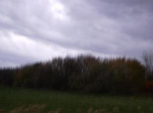 SatNov252006055214PM.jpg