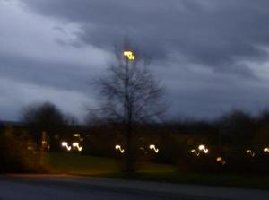 SatNov252006055524PM.jpg