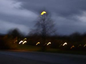 SatNov252006055535PM.jpg