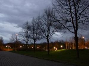 SatNov252006055627PM.jpg