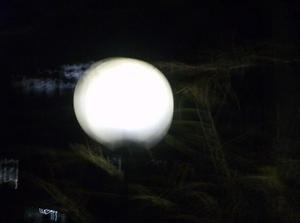SatNov252006060739PM.jpg