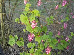 SunApr120070340AM_3.jpg