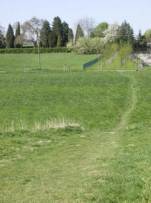 SunApr1520070104AM.jpg