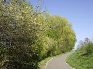 SunApr1520070107AM.jpg