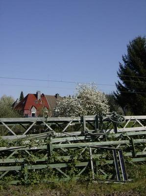 SunApr1520070120AM_3.jpg