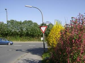 SunApr1520070137AM.jpg