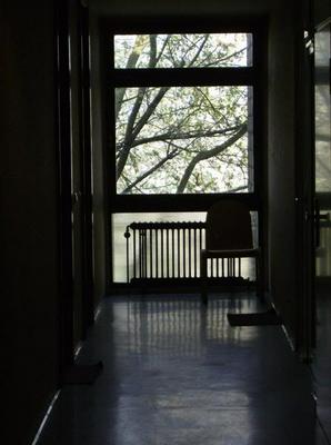 SunApr1520070149AM.jpg