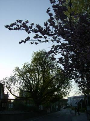 SunApr1520070426AM_2.jpg