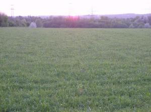 SunApr1520070457AM_3.jpg