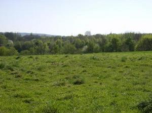 SunApr1520071258AM_2.jpg