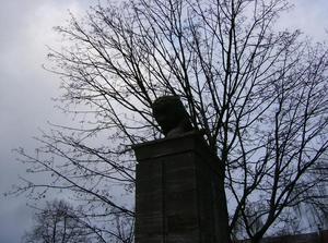 SunDec1720060337PM.jpg