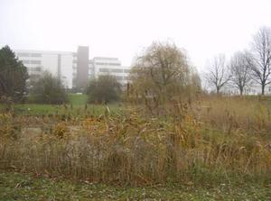 SunDec2420060522PM_3.jpg