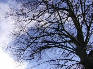 SunFeb2520070100AM_2.jpg