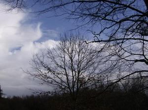 SunFeb2520070100AM_3.jpg