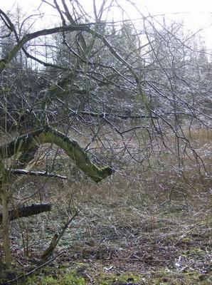 SunFeb2520070100AM_4.jpg