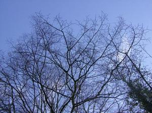 SunFeb2520070100AM.jpg