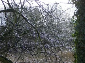 SunFeb2520070101AM_2.jpg