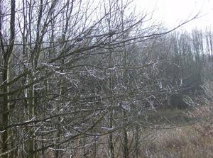 SunFeb2520070104AM_2.jpg