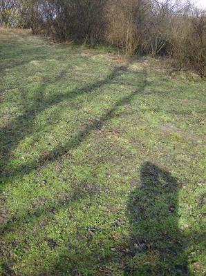 SunFeb2520070105AM_3.jpg