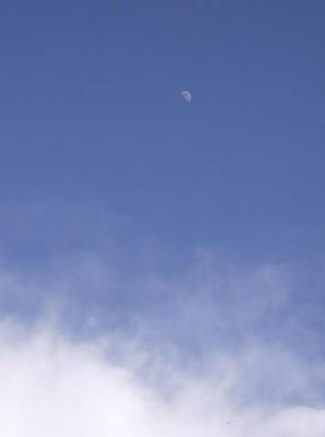 SunFeb2520070105AM.jpg